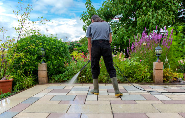 Best Driveway Pressure Washing  in Nixon, TX